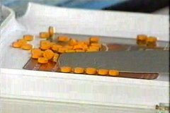 FOTOS (187) � IMAGEN FOTOGRAFIA